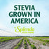 SPLENDA Stevia Zero Calorie Sweetener for Baking, Plant Based Sugar Substitute Granulated Powder, 9.7oz Resealable Pouch...