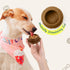Dog Toy, Treat Dispensing Dog Toys, Dog Enrichment Toys to Keep Them Busy, Interactive Dog Toys Mentally Stimulating, Dog Puzzle Toy, Suitable for...