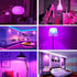 LED Black Light Bulb 15W Blacklight 100 Watt Equivalent LED Bulbs, 120V E26 Standard Base, UVA Level 395-400nm, Glow in The Dark for Body Paint, B...