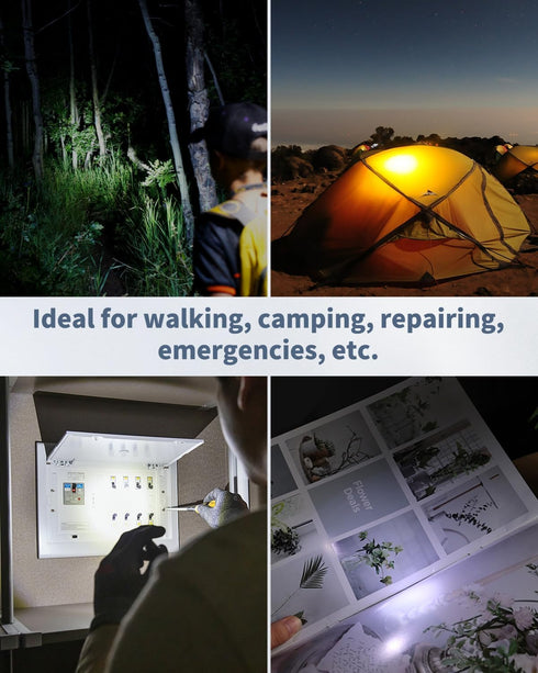 Uniclife 5 Pack LED Keychain Flashlight Mini LED Keychain Light 14 Lumen Portable Ultra Bright Battery Powered Key Ring Torch for Outdoor Camping ...