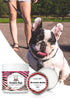 Wrinkle Wipes + Wrinkle Balm for Dogs | Bulldog, French Bulldog, Pug, English Bulldog | Cleans & Soothes Wrinkles, Folds, Tear Stain, Tail Pockets...