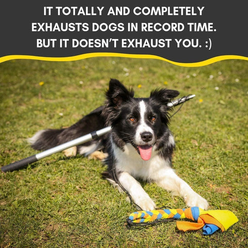 Flirt Pole for Dogs - Safe & Strong for Large Breeds w/Non-Bungee Cord - Spring Pole for Tug of War, Interactive Play & Puppy Training - Heavy-Dut...