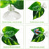 Betta Hammock, 3 Pack Betta Fish Leaf Pad and Small Aquarium Artificial Plants, Natural Habitat for Betta Spawning Grounds, Fish Tank Decorations....
