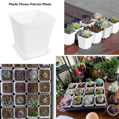 OJYUDD 3inch White Square Plastic Pots with Saucer, Drainage Hole, 24 Pcs, for Flower/Plant, Home,Company,Office and Garden(White)...