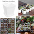 OJYUDD 3inch White Square Plastic Pots with Saucer, Drainage Hole, 24 Pcs, for Flower/Plant, Home,Company,Office and Garden(White)...
