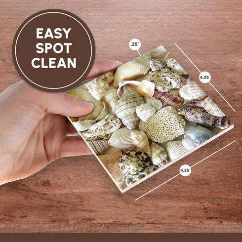 3dRose CST_40854_3 Florida Seashells II Ceramic Tile Coasters (Set of 4)...