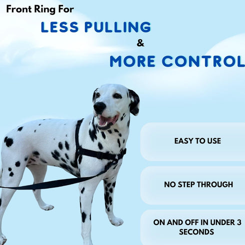 ShawnCo Dream Walk No-Pull Dog Harness- Adjustable, Comfortable, Easy to Use Pet Halter to Help Stop Pulling for Small, Medium and Large Dogs (Icy...