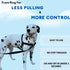 ShawnCo Dream Walk No-Pull Dog Harness- Adjustable, Comfortable, Easy to Use Pet Halter to Help Stop Pulling for Small, Medium and Large Dogs (Icy...