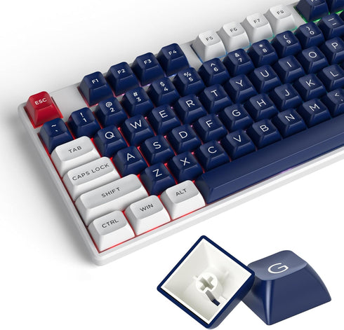 GTSP 150-Keys ASA Profile Keycaps Double Shot PBT Keycap 75 Percent ISO/ANSI Layout for 108 104 87 82 68 61 MX switches Mechanical Keyboard(Snow A...