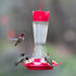 Perky-Pet 9201-6 Top-Fill Pinch-Waist Glass Hummingbird Feeder – 12 oz, PInk...