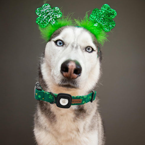 Elegant little tail Airtag Dog Collar, St Patrick's Day Dog Collar Pet with Airtag Holder Holiday Pet Collar Cute Puppy Collar Adjustable Pet Dog ...