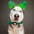 Elegant little tail Airtag Dog Collar, St Patrick's Day Dog Collar Pet with Airtag Holder Holiday Pet Collar Cute Puppy Collar Adjustable Pet Dog ...