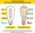 Vintage LED Edison Bulbs 6W, Equivalent 60W Incandescent, Warm White 2700K, ST58 Antique LED Filament Bulbs with 90+ CRI, E26 Medium Base,Dimmable...