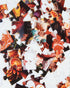 100 Piece Puzzle,Jigsaw Puzzles 100 Pieces 100 Piece Adult Children Puzzles Suitable for Adults Children (100 PCS, D0005)...