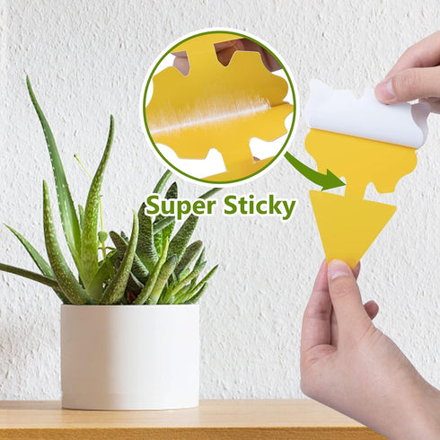 120 Pack Fungus Gnat Traps for House Indoor, Fungus Traps Fruit Fly Traps for Indoors Gnats Sticky Traps for Plants Yellow Sticky Traps for Gnats...