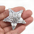 Women's Crystal Cubic Zirconia Winter Snowflake Star Shell Pearl Flower Brooch Pins Christmas Holiday Pendant Jewelry Clear Silver...