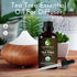 Organic Tea Tree Oil - 100% Pure Tea Tree Oil for Skin, Hair, Toenails, Scalp, Acne - Tea Tree Essential Oil for Aromatherapy - 1 oz/30ml...