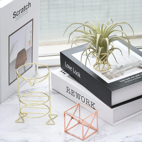 PATIKIL Air Plant Holder, 6 Pack Tillandsia Pot Base Container Metal Air Plant Rack Indoor Planter Stands for Home, Rose Gold...