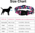 Maca Bates Designer Flower Cute Dog Collar Spring Collars for Girl and Boy Female Male para Perros Chihuahua Pitbull Birthday Gift for Small Mediu...