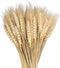 100 Pcs Dried Wheat Sheaves Bundle Golden Natural Wheat Bouquet Bunch Dried Flowers Arrangement for Fall Farmhouse DIY Design Home Table Wedding P...