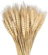 100 Pcs Dried Wheat Sheaves Bundle Golden Natural Wheat Bouquet Bunch Dried Flowers Arrangement for Fall Farmhouse DIY Design Home Table Wedding P...