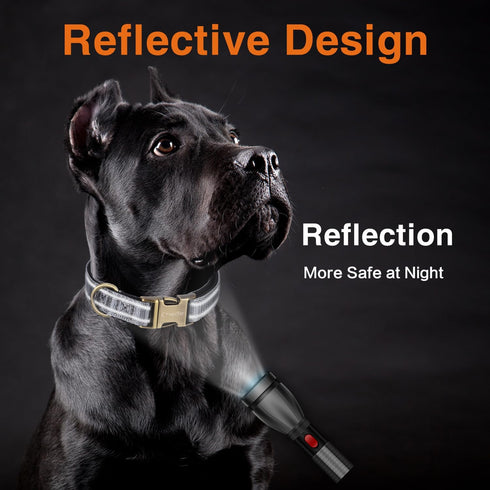 Reflective Dog Collar,Metal Buckle Soft Neoprene Padded Breathable Nylon Pet Collar Adjustable for Small Medium Large Boys Girls Dogs (Grey, Small...