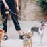 Leather Poop Bag Holder Dispenser for Leash, Portable and Reusable Dog Poop Bag Dispenser, Dog Bag Holder for Walking, Outdoor, Travelling (Beige)...