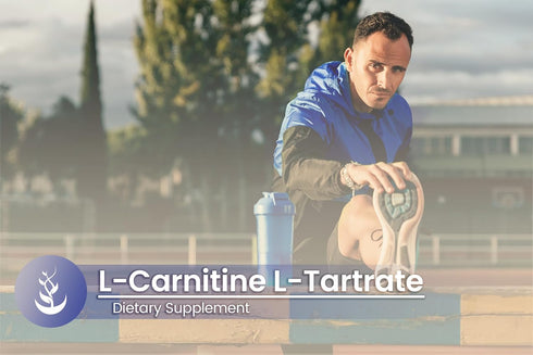 Pure Original Ingredients L-Carnitine L-Tartrate (100 Capsules) Always Pure, No Additives Or Fillers, Lab Verified...