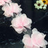 YYCRAFT 4.5 Yards 2.5" 3D Chiffon Flower Lace Trims Bridal Bouquets Cluster Flower DIY Sewing(Baby Pink)...