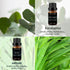 BURIBURI Vanilla Oil Jasmine, Vetiver and Eucalyptus Essential Oil Set, 100% Pure 4Pcs Essential Oils Gift Set for Diffusers...