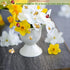 MIKIMIQI 60 Pcs Tiny Resin Bees Ladybugs Decor, Including 30 Pcs Bumble Bee Embellishment 30 Pcs Resin Ladybug Craft Decorations with Storage Box ...