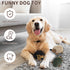 Plush Hedgehog Dog Toys 3 PCS - Squeaky Stuffless Hedgehog for Small and Medium Dogs - Keep Your Puppy Busy with Multi-Colored Interactive Pet Toy...