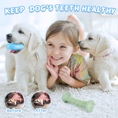 Puppy Toy for Teething Soft & Durable 6-pack Dog Chew Squeaky Toys for Small and Medium Dogs Suitable for 2-8 Months Puppies’ Teething Small Dog T...
