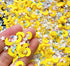 EHOPE 120G Fake Sprinkles Resin Sprinkles Fake Candy Sprinkles Clay Sprinkles Polymer Sprinkles Polymer Clay Slices for Nail Art DIY Crafts Cake P...