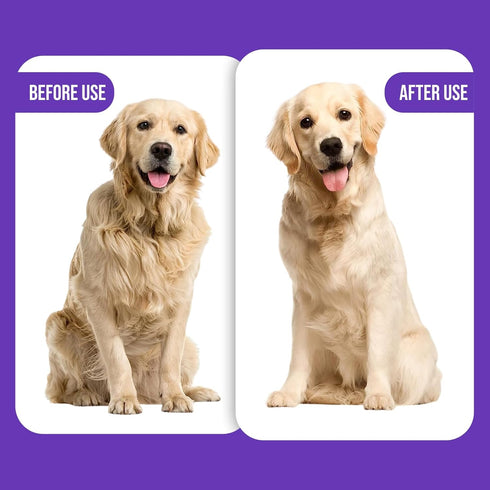 Self-Cleaning Gentle Slicker Brush, Sensitive Skin Gentle Dog Brush, for Big Dog and Large Breed, to Remove Loose Hair, Mats, Dirt - Pain Free Gro...
