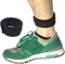 Wanty Adjustable Buckle Arm Bracelet Wear Band Ankle Wristband Band with Mesh Pouch for Fitbit ONE/Fitbit Flex 2/ Fitbit ALTA/ALTA HR/Activity Tra...