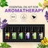 Fresh Essential Oils Set, 6x10ml Aromatherapy Oil Gift Kit for Diffuser, Fragrance, Humidifiers, Air Purifier- Tea Tree, Bergamot, Rosemary, Laven...