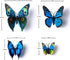 LiveGallery 72 PCS Removable 3D DIY Beautiful Butterfly Wall Decals Blue Butterflies Art Decor Wall Stickers Murals for Kids Baby Boy Girls Bedroo...