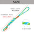 6 FT Slip Leads for Dogs No Pull Dog Training Leash Dog Leash Slip Lead Strong Dog Loop Leashes Colorful Braided Rope Dog Lead Comfortable Slip Le...