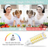 comzler G9 LED Bulb 4000K Natural Daylight, 6W 60 Watt Halogen Equivalent G9 LED Bulb Bi Pin Ceramic Base, 600LM T4 G9 Light Bulbs for Chandeliers...