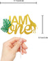 I AM ONE Birthday Cake Topper - Real Wild Child First Birthday - Smash Jungle Safari Animals Gifaffe Cake Décor - Baby Shower Welcome Baby Party D...