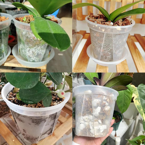 Plant Pots for Indoor Plants, 6 Pack 6.4/5.5/4.7in Clear Plastic Planter with Drainage Holes and Saucers for Orchid, African Violet, Spider Plant,...