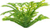 Penn-Plax Plant-Air Airline Tubing for Aquariums- 60" of Tubing That Looks like an Aquarium Plant (PA1)...