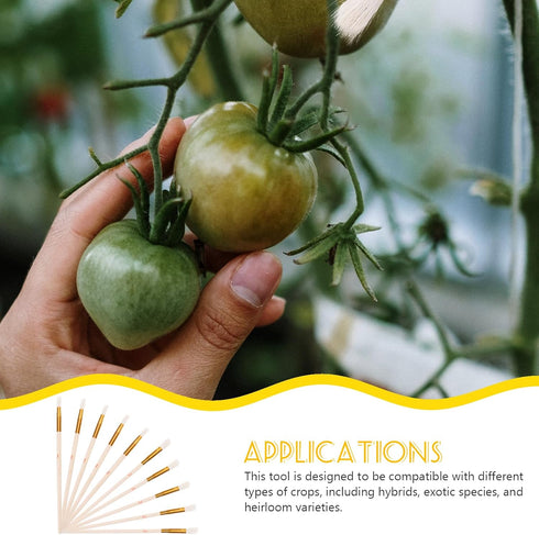 Yardwe 20pcs Artificial Chalk Tools Pollinators Gardening Pollinator Outdoor Fruit Tree Pollinator Manual Pollinating Tool Flower Pollinator Tool ...