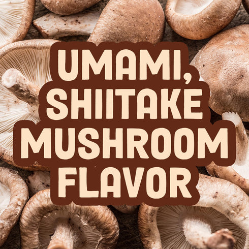 Pan's Mushroom Jerky, Organic, Vegan Snacks, Dried Mushrooms Shitake, Plant based Jerky, Meatless Jerky, Gluten Free, High in Fiber, with Salt & P...