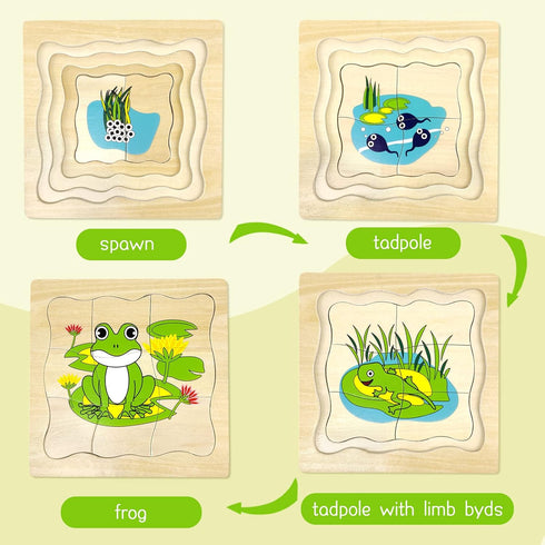 Montessori Wooden Puzzles for Kids Ages 4-8, 4 Layer Life Cycle Jigsaw Puzzle for Toddlers, Children Preschool Learning Educational Puzzles Toys f...
