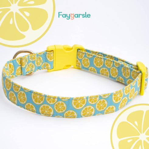 Faygarsle Cute Dog Collar for Girls Boy Dogs Soft Fancy Pet Collar with Lemon Design Ideal Yellow Green Summer Dog Collar for Small Medium Large D...