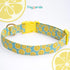 Faygarsle Cute Dog Collar for Girls Boy Dogs Soft Fancy Pet Collar with Lemon Design Ideal Yellow Green Summer Dog Collar for Small Medium Large D...