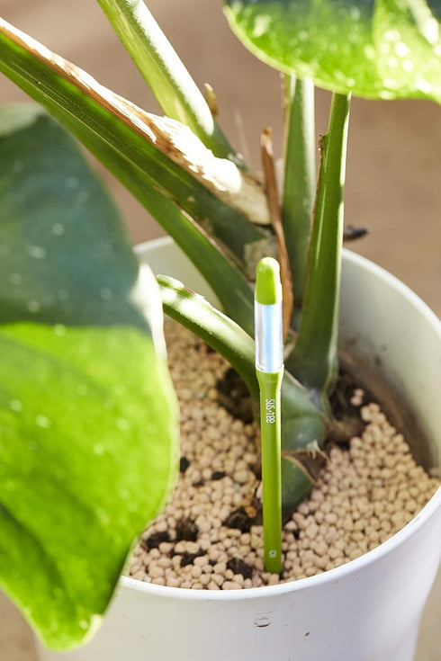 Aquameter (Medium Green Refillable - Bundle of 2) - House Plant Soil Moisture Meter, Humidity Sensor Probe, Water Level Indicator - Best for Indoo...