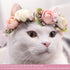 Pet Flower Collar with Adjustable Ribbon Small Dog Wedding Attire Wreath Bow Pink Cat Floral Collar Dog Flower Ring for Wedding Ceremony Small Dog...